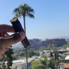 dmac gelato ft mula klan - expert