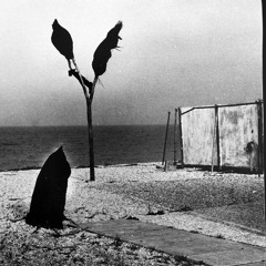 Molly.Groove - Orchestral techno