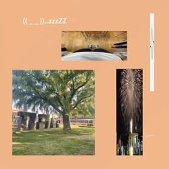 ˚✧˳(( _ _ ))..zzzZZ