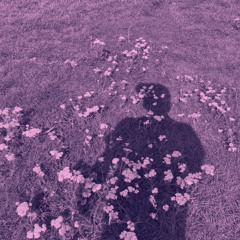crushedpulp (w/o crush mix)