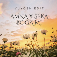 Amna x Seka vs. Pessto - Boga mi (Vuyosh Edit)