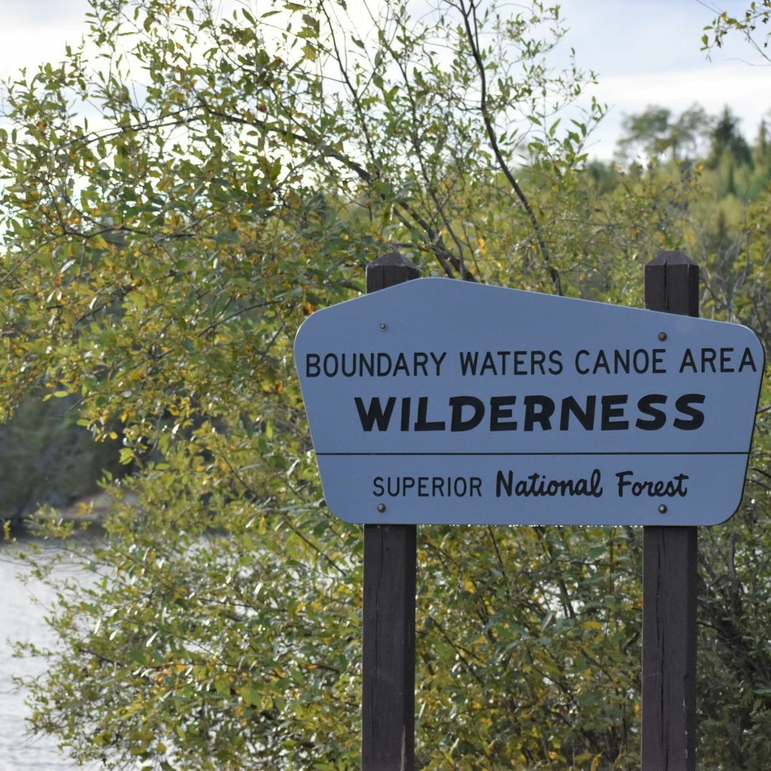 Short Track: News Report on Congressional Hearing About Mining Near BWCA episode artwork