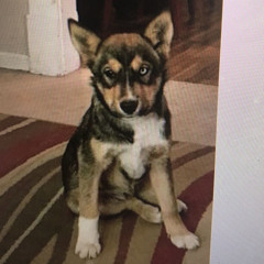 THE JASPER MIX (HIP-HOP/TRAP MIX)