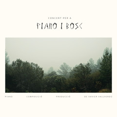 Cova i Barranc del Salt