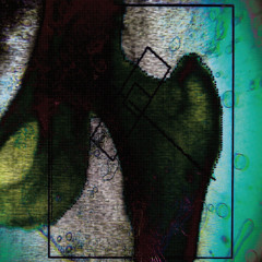 femur