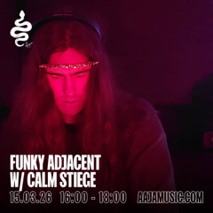 Funky Adjacent - Aaja Channel 1 - 15 03 26