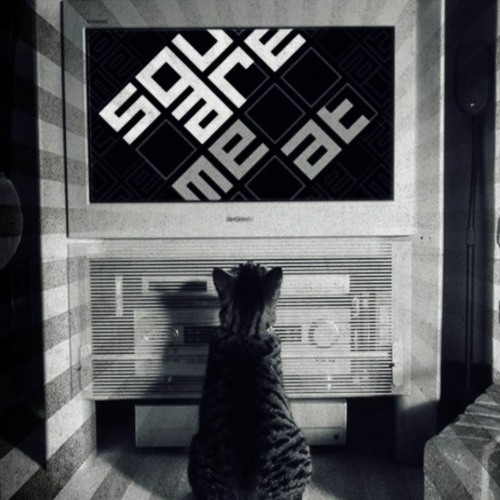 A Tribute to Squaremeat