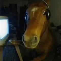 TK - Trot Tunes Vol. 1