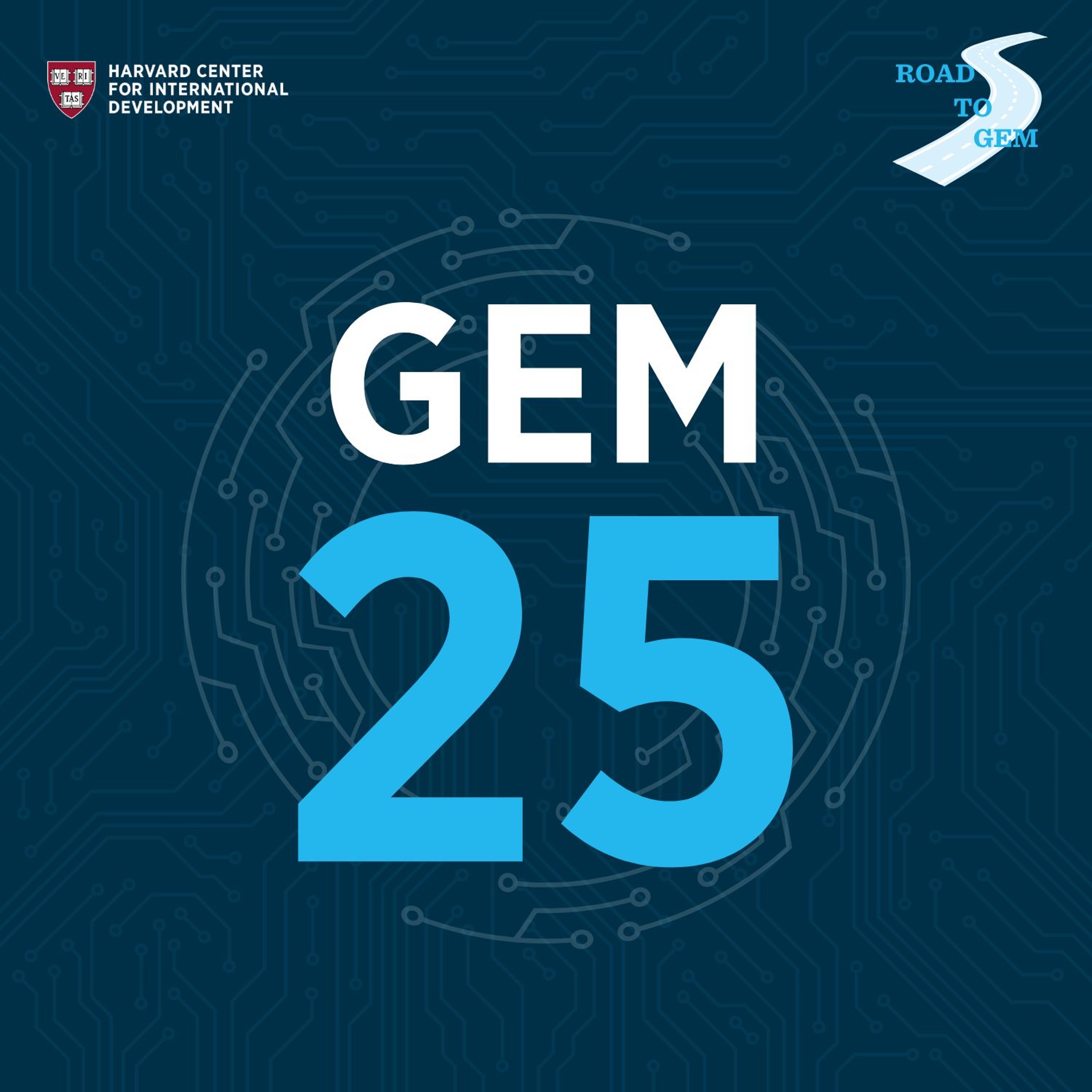 Bridging the Digital Divide: AI, Equity, and Global Development