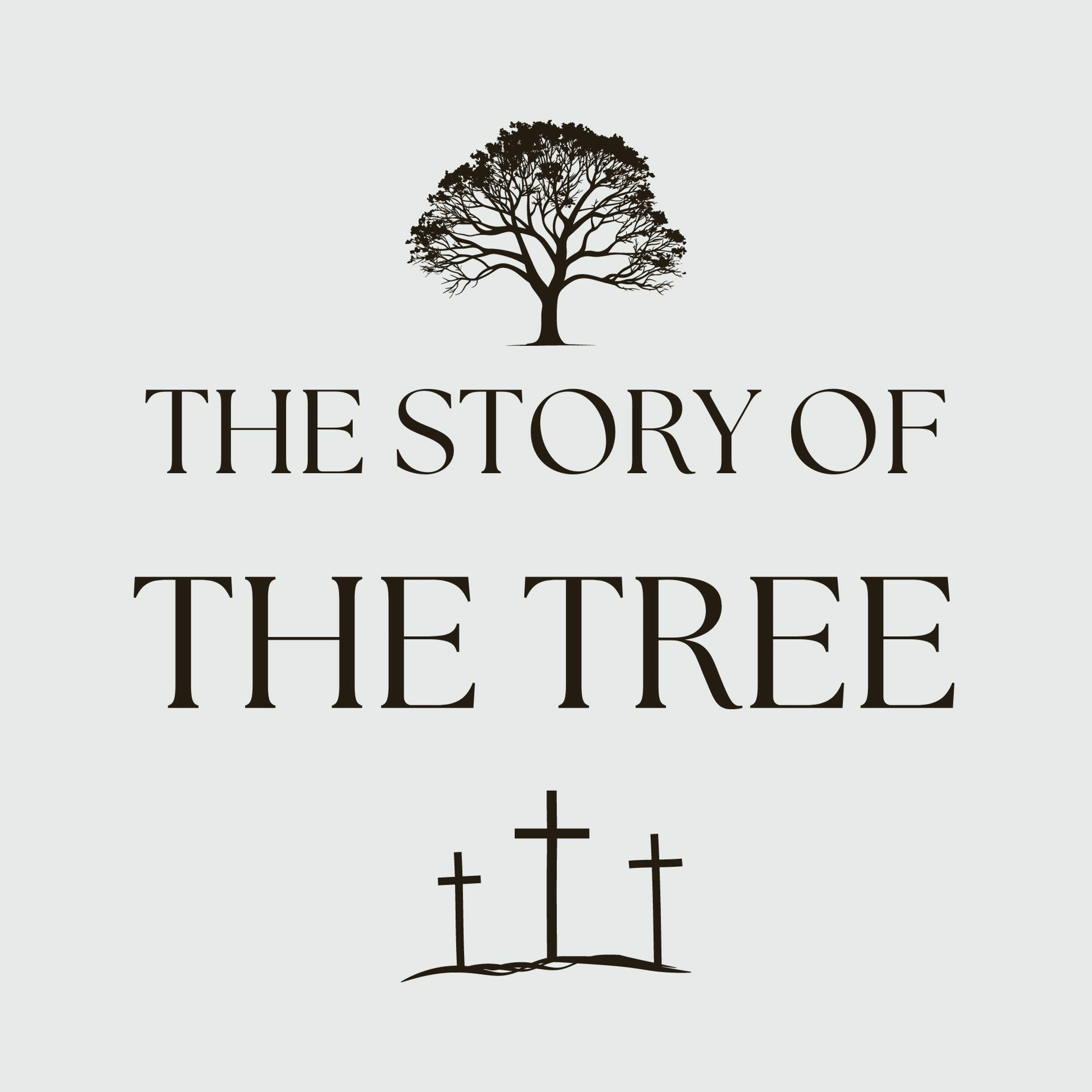 Christ Church Cambridge