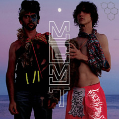 MGMT - KIDS (CONCENTRATES FLIP)