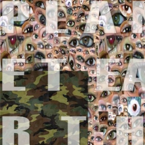 Chicken - Planet Earth