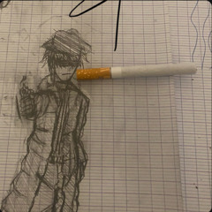 vilone