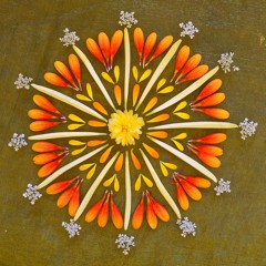 Kakaodance 18.01.2020@Nestwerk