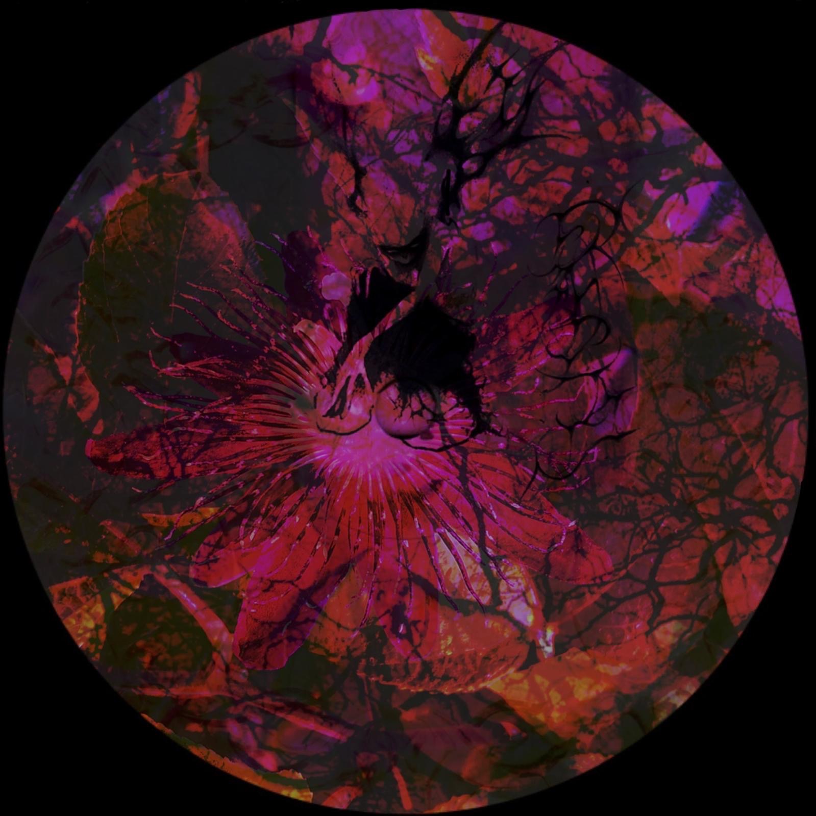 artworks-DrL8myAvrI04XmOE-rLE7VQ-original.jpg