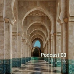 Podcast 03
