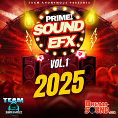 TEAM ANONYMOUS - PRIME SOUND EFX VOL.1 2025 (AUDIO PREVIEW)