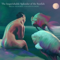 The Imperishable Splendor of the Sunfish | Belial Pelegrim + Callisto's Ghost