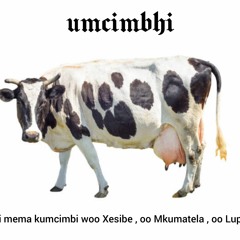 umcimbi ( reply)