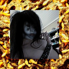 Termites W/ 333toast (prod. DBLOCK)