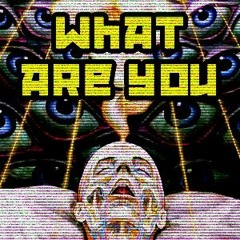 Lindsay Lerman - What Are You