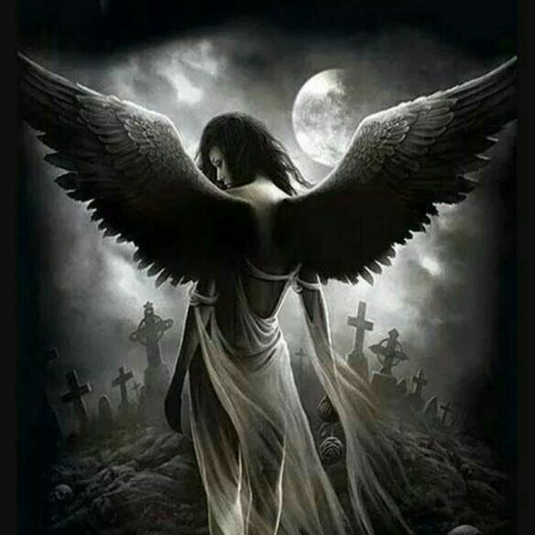 ✨ Dark Angel✨ Dark Angel - Album by Find Me - Apple Music