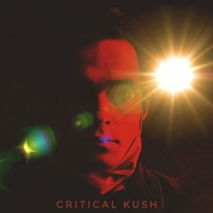 Critical Kush (Original Mix)