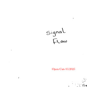 signal flow 0525