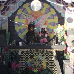 Feelix & the Wolf @ Jungle Oddity - Burning Man 2024, Black Rock City