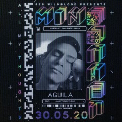 all my mix - aguila