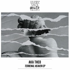 Aka Theo - Terrenal Heaven (Original Mix)