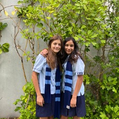 The Wonders Of New Zealand