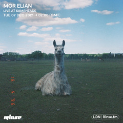 Mor Elian live at Sameheads - 7 December 2021
