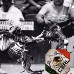 El Gordito De De La Lima / Marin Solis Felix 2021