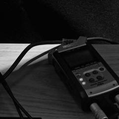 path (demo)