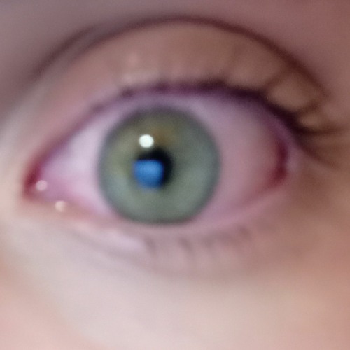 my people in kominiaras not in aureolas