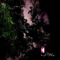 The Opera House [live]