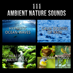 Crickets & Rainy Clouds (Mood Music for Inner Peace)
