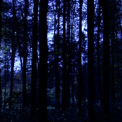 WLDNT WNNA B YA (DEMO)