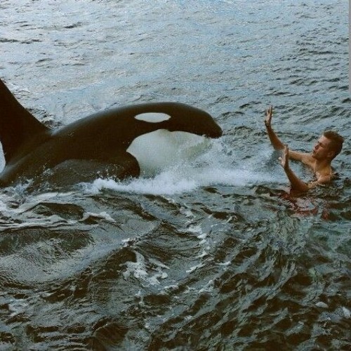 the good i'll do, zach bryan cover