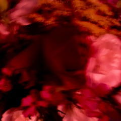 Colorists are epic poets