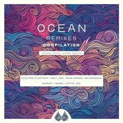 Rafael Paste, André Arruda - Ocean (drey O3o Remix)