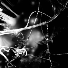 Myelin Seath 250bpm (Preview)