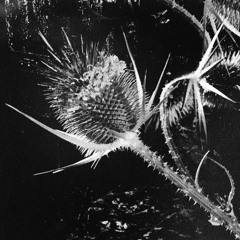 The Secessionist Techno Podcast 03 2023
