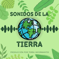 Sonidos de la Tierra: Bosques de Aire (Episodio 1)