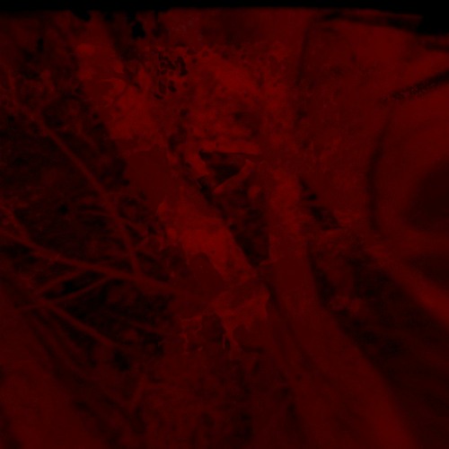 A song before death