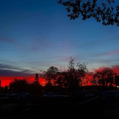 The Chronicles of Gigia