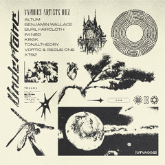 V0RTIC & SEGUE ONE - THIS IS THE TIME