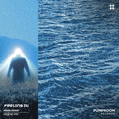 Aman Anand - Feeling It (Original Mix)