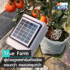 True Farm เทคโนโลยีการเกษตรอัจฉริยะครบวงจร ครบกว่า ครอบคลุมกว่า | TNN Tech Reports